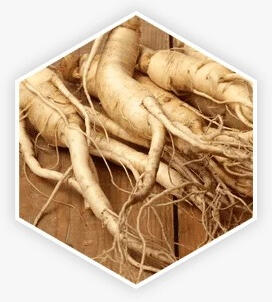 Panax Ginseng — Supports strong blood flow and healthy cognitive function.