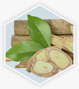 Tongkat Ali — Supports healthy male hormones and overall vitality.