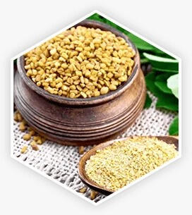 Fenugreek — Known for supporting healthy blood sugar and metabolic function.